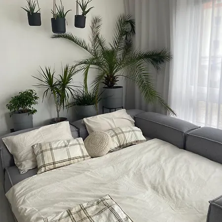 Bývaj U Mari V Mestskom Parku S Bezplatným Parkovaním